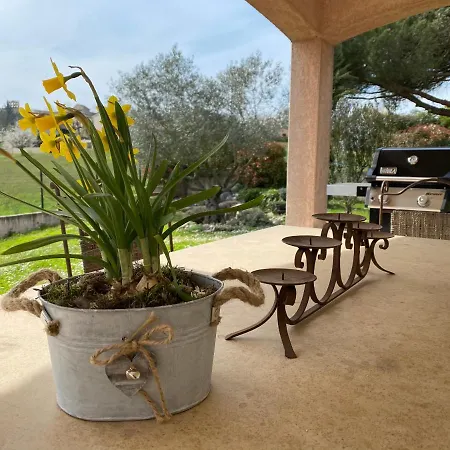 Du Mercadal Les Pujols * Pamiers