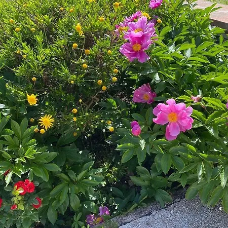 Apartamento Du Mercadal Les Pujols