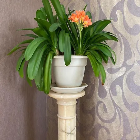 Du Mercadal Les Pujols Pamiers