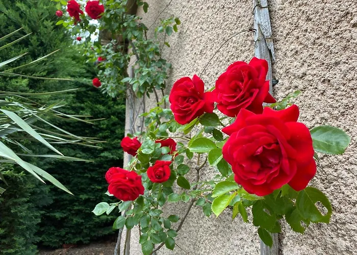 Appartamento Du Mercadal Les Pujols *