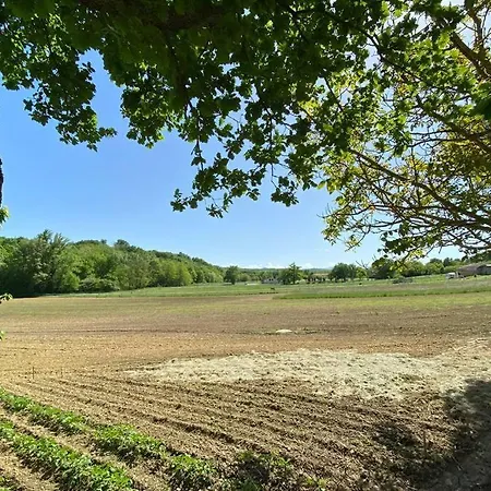 Du Mercadal Les Pujols Appartement
