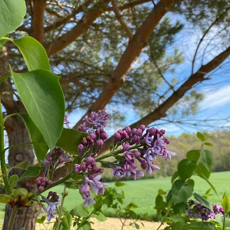 Appartement Du Mercadal Les Pujols *