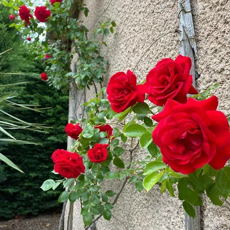 Appartement Du Mercadal Les Pujols *