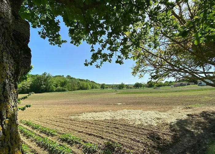 Du Mercadal Les Pujols Appartement