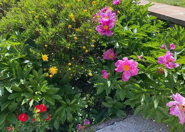 Appartement Du Mercadal Les Pujols