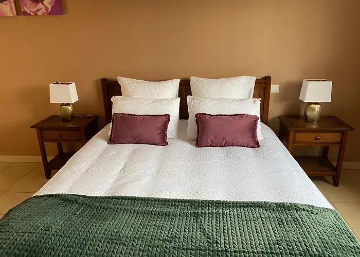 Du Mercadal Les Pujols Pamiers