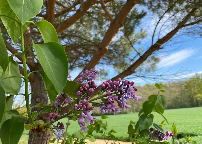 Appartement Du Mercadal Les Pujols *