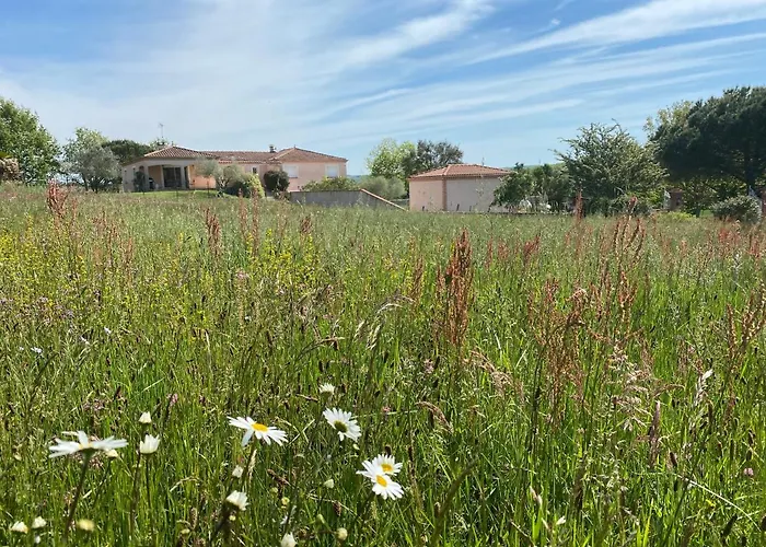 Du Mercadal Les Pujols * Pamiers