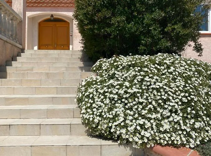 Du Mercadal Les Pujols Pamiers